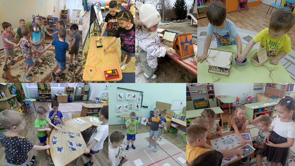 Фото Игра В мире птиц 2025