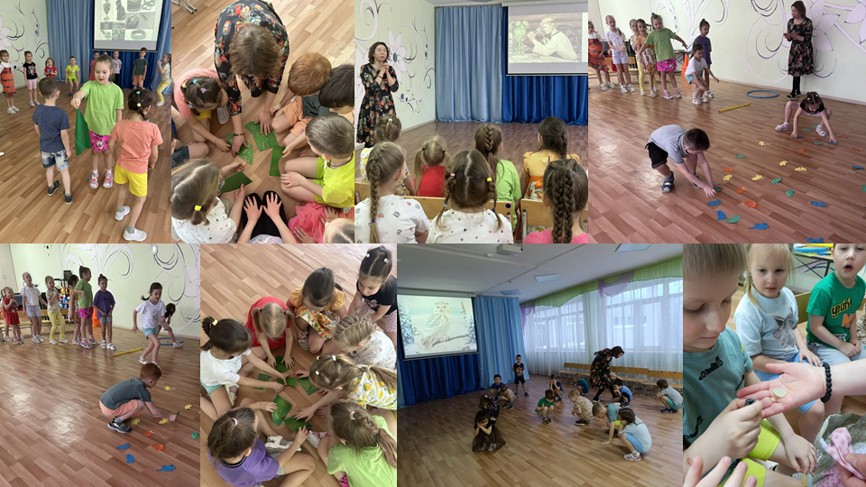 Фото Сотрудник библиотеки 2026